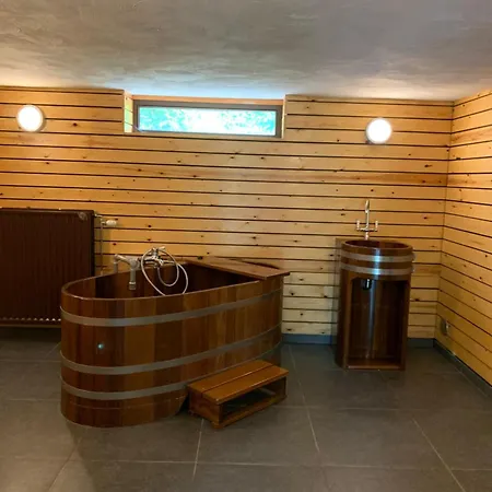 Ferienhaus Baron *